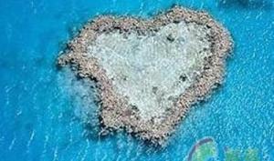 众悦 全景揽胜 海陆空澳新海豚岛11日