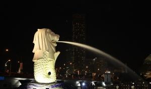 【品.希尔顿】新马波德申6日（暑期）