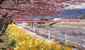 花漾年华-日本本州环岛深度体验8日游